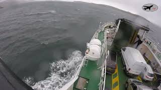 Largs Cumbrae Ferry on a windy day [upl. by Amelina]