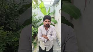 jambalakidi pambaBabu Mohan comedy [upl. by Sausa]