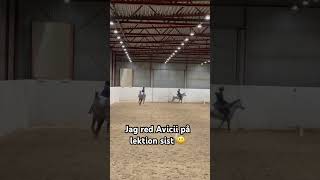 Ridlektion vi tränade på skänkelvikning på rakt spår och rygga 😍 horselover equestrian riding [upl. by Aihsetel211]