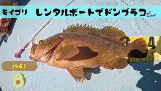 佐賀県仮屋湾でレンタルボート釣行 th61 仮屋湾レンタルボート魚釣り [upl. by Nednal727]