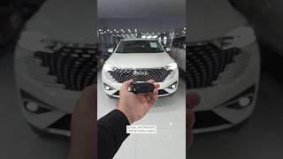 Haval H6 HEV Hybrid 2024 Quick Overview [upl. by Aerdnaxela21]