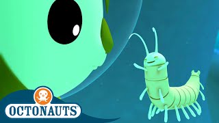 Octonauts  Remipedes and The Giant Whirlpool  Cartoons for Kids  Underwater Sea Education [upl. by Rekcut]