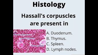 hassalls Corpuscle  Definition Functions Structure Thymus anatomy [upl. by Veleda]