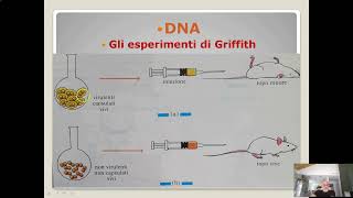 Itinerario di biologia Dna ed esperimenti di Griffith [upl. by Melak]