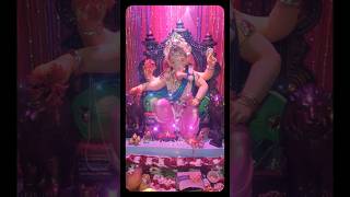 Ganpati Bappa Morya  Day 3 ganpati ganapatibappamorya 🌺🌺 [upl. by Arella]