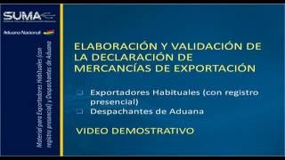 Elaboración y Validación de la Declaración de Mercancías de Exportación [upl. by Deckert43]