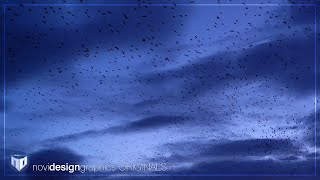 Crows  Huge Flock of Crows Flying over the river 4K [upl. by Weintrob]