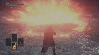 Comment battre l ame des cendres Dark souls 3 [upl. by Hestia226]