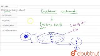 Colchicine brings about [upl. by Nahraf]