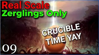 RealScale Zerglings Only  THE CRUCIBLE  pt9 [upl. by Shir]