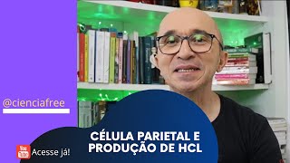 Célula Parietal e Produção de HCl [upl. by Inad713]