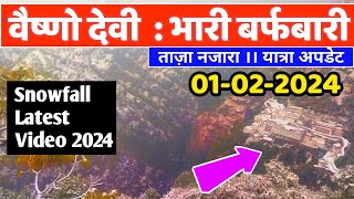 Vaishno Devi  वैष्णो देवी भारी बर्फबारी ताजा नजारा Snowfall Latest Video 0102 2024 ।। Snowfall [upl. by Oine]