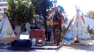 Native american music Indianische Musik Pop 8 [upl. by Alvy984]