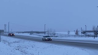 Video Getting a glimpse of spring in Butte Montana [upl. by Akcirderf]