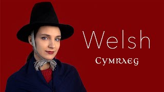 About the Welsh language [upl. by Dahl18]