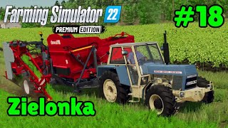 CARROTS HARVESTS  Zielonka  18  Farming Simulator 22 Timelapse [upl. by Berny757]