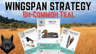 Wingspan Asia Strategy  UNCommon Teal [upl. by Croner567]