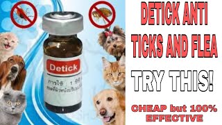 PAANO HOW TO APPLY DETICK ANTI TICKS amp FLEA for DOGS and CATS EffectivePangtanggalKutoSaAso [upl. by Mcgruter]