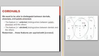 Phonological Features [upl. by Berkly]