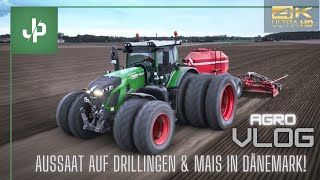 Weizen Aussaat 2022 Extrem  Fendt auf Drillingen Mais in Dänemark Agrovlog  JP Agrar [upl. by Reginnej794]