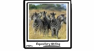 Expository Writing Primary [upl. by Laspisa505]