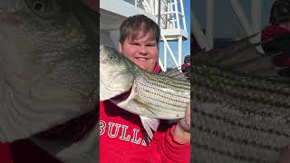 Striped bass season 😎fishing fishingtrip fypシ゚viral fyp fypage [upl. by Nowd]