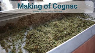 Making of Cognac  Cognac Bertrand [upl. by Ecnadnac429]