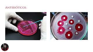 Resistencia bacteriana [upl. by Morganstein]