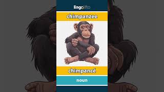 🇬🇧🇪🇸 chimpanzee  chimpancé  vocabulary builder  learn English  aprendamos inglés [upl. by Tandy]