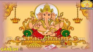 GANESH MANTRA ॐ गणानां त्वा गणपतिं VEDIC NAAD quotवैदिक नादquot आचार्यो द्वारा [upl. by Perren]