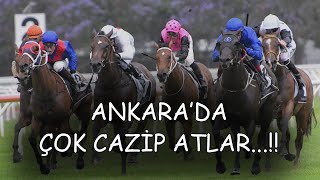 ðŸ”¥Ã‡Ok SÃœRPRÄ°Z ATLARðŸ”¥ 13 HAZÄ°RAN PERÅžEMBE ANKARA AT YARIÅžI TAHMÄ°NLERÄ° ve YORUMLARI [upl. by Acir442]