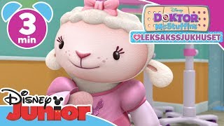 Doktor McStuffins  Lammis dansdröm  Disney Junior Sverige [upl. by Maroney680]