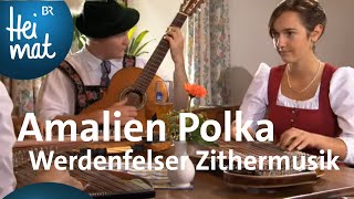 Werdenfelser Zithermusi Amalien Polka  Zsammgspuit  BR Heimat  die beste Volksmusik [upl. by Winshell]