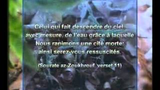 Arte documentaire Islam Les miracles scientifiques du coran [upl. by Eihs96]