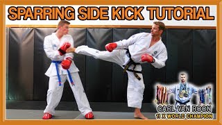 The Perfect Side Kick for Taekwondo Sparring  Van Roon Tutorial [upl. by Parshall]