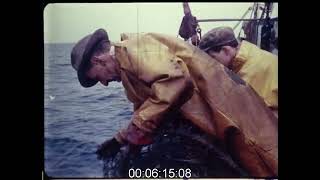 Trawler Fishing at Sea 1960s  Film 1008982 [upl. by Alliber]