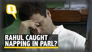 The Quint Spotted Rahul Gandhi in Parliament Deep Thought or Deep Sleep [upl. by Pasahow]