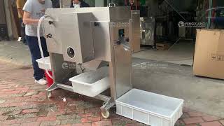 Fish Processing Salmon Fillet Machine Pollack Splitting Machine Fish Cutting Machine [upl. by Evyn]