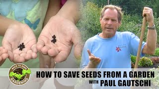 How to Save Seeds from a Vegetable Garden  Back to Eden Gardening [upl. by Aliab948]