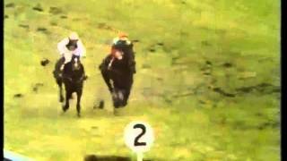 Monksfield The 1979 Champion Hurdle Cheltenham [upl. by Justinian]