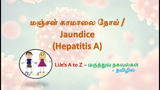 Hepatitis A  மஞ்சள் காமாலை நோய் காரணங்கள்அறிகுறிகள்சிகிச்சைகள் Jaundice Hepatitis Ahepatitis [upl. by Granoff]