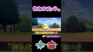 救われた命。 【ポケモン剣盾 】 [upl. by Inor]