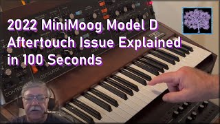 2022 MiniMoog Model D Aftertouch Issue Explained in 100 Seconds [upl. by Halyk]