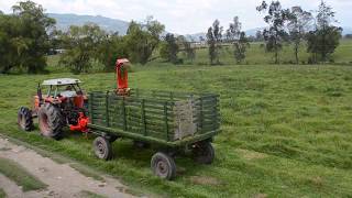 COSECHADORA DE FORRAJES  FIMAKS  RF132  Instalación Gachanzipa🇨🇴  Maquinaria Agrícola [upl. by Raye]