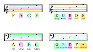 How To Read Notes On The Staff  EASY  Music Theory Tutorial [upl. by Giddings743]