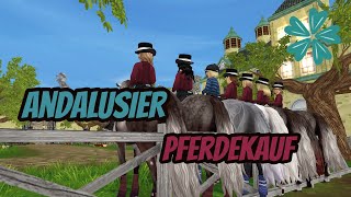 Andalusier Pferdekauf mit Marika  bester Name 🥰  Vivguy [upl. by Akinek]