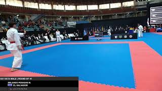 Bryan Delgado 🇸🇻 VS Reece Yoshizawa 🇺🇸 U21 Male Kata Panamerican Karate Championship 2024 [upl. by Nevsa]