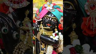 Happy Krishna Janmashtami Status video  Coming Soon 2024 Janmashtami Status short shortvideo [upl. by Leorsiy739]