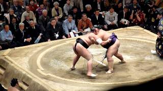 Sadanofuji 69  Osunaarashi 96  Sumo  Hatsubasho 14 [upl. by Aiekam]