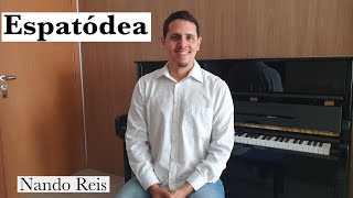 Espatódea  Nando Reis  por Bruno Nunesmaia  piano solo [upl. by Kinghorn]